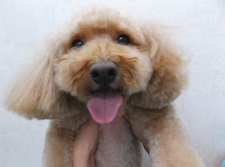 15.8.10O@N[.JPG
